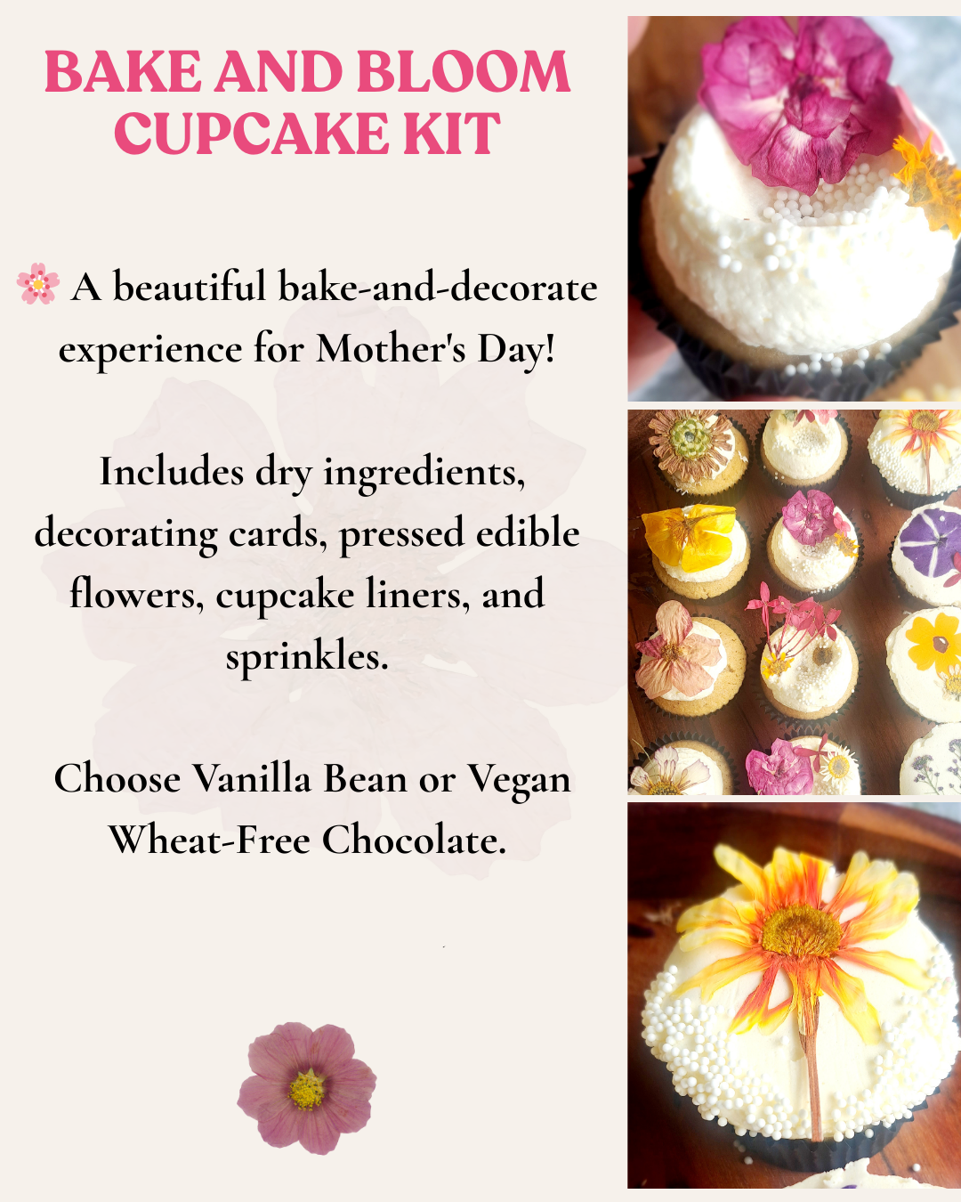 Bake and Bloom Cupcake Decorating Kit (Can be Posted)