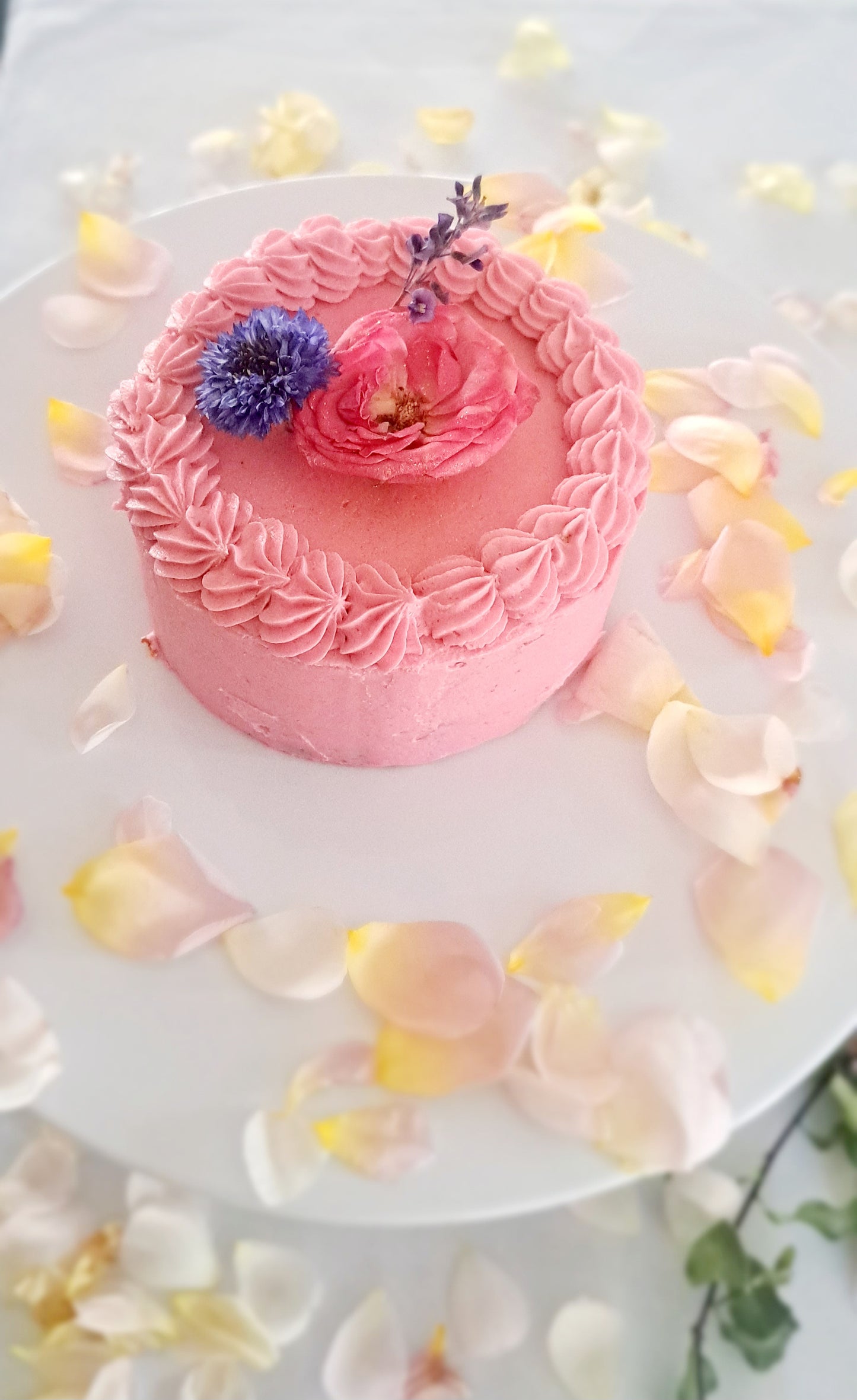 Classic Vanilla Buttercake